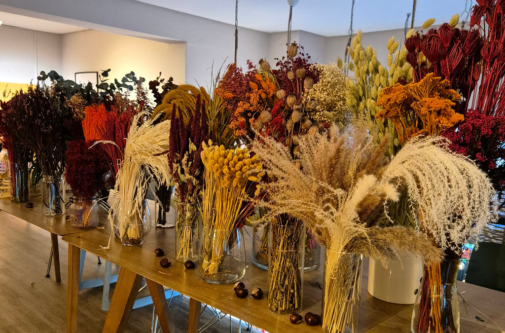 Trockenblumen-Workshop | AKZENTwerk | 26.06.2026